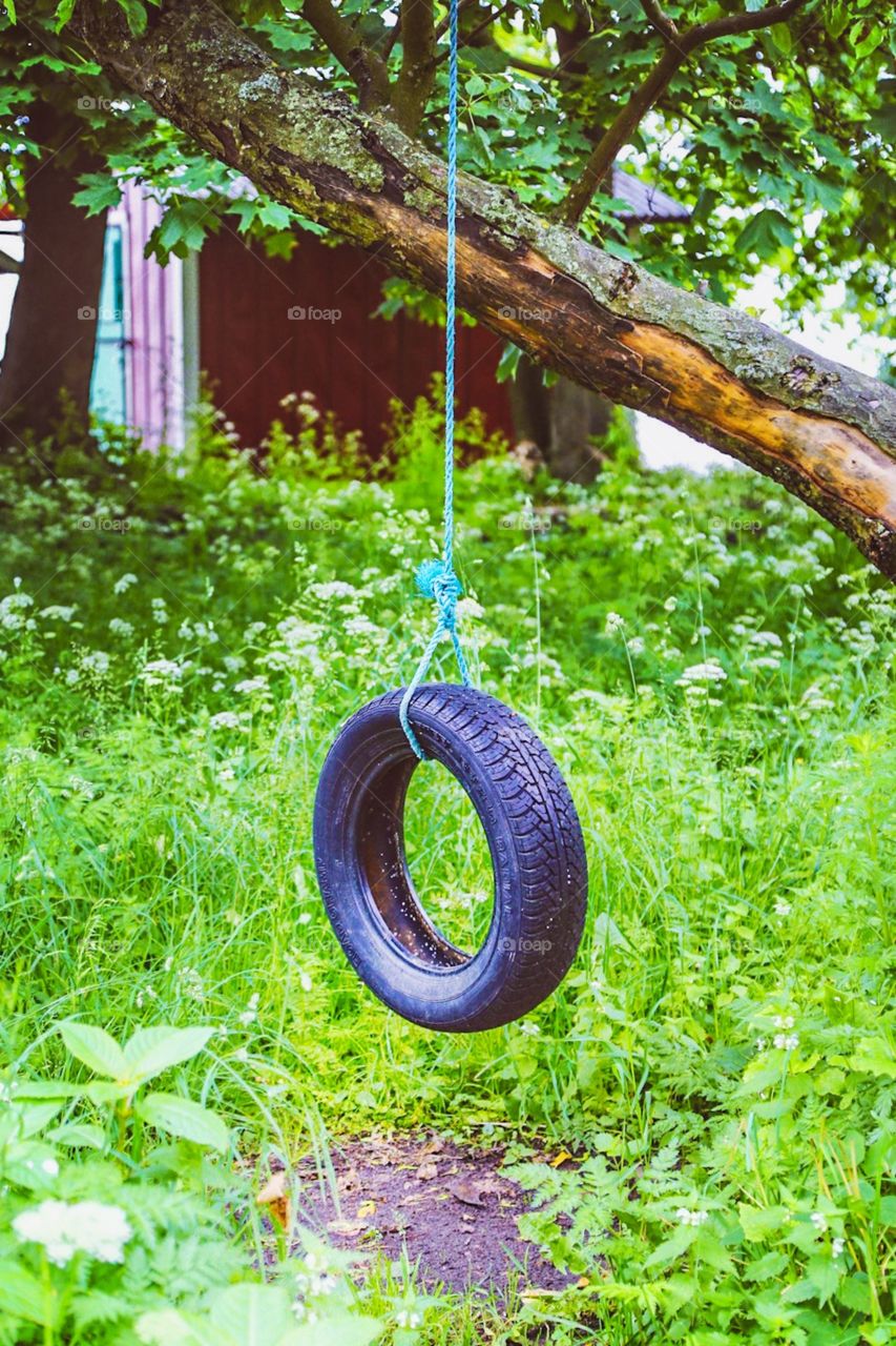 Tire swing