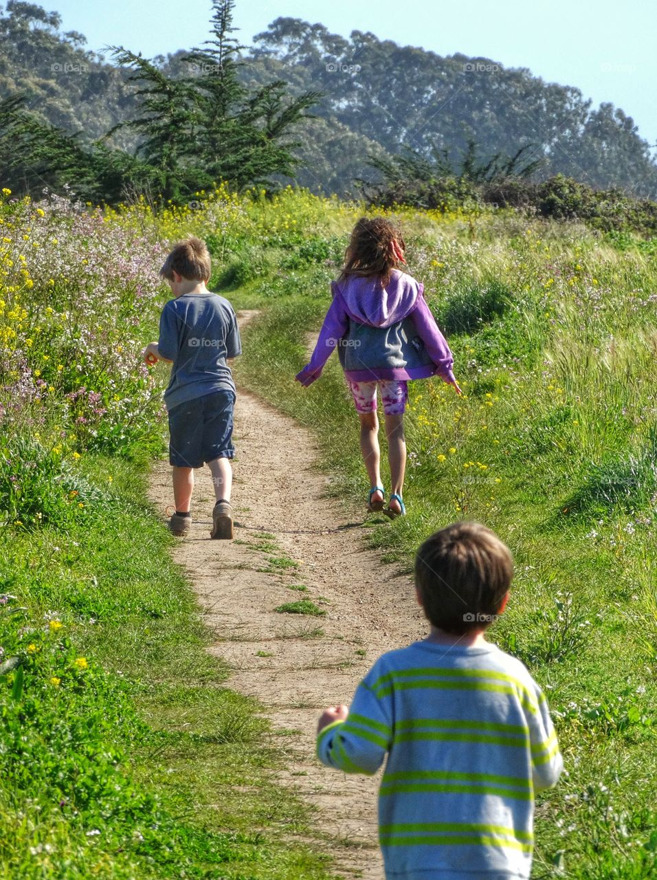 Children Hiking A California Trail