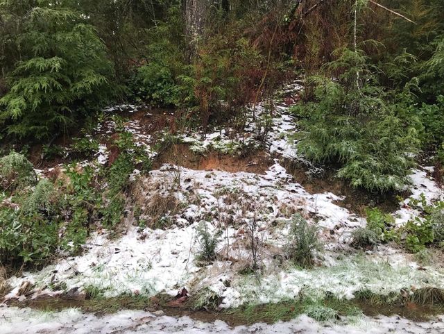 Snow in nature