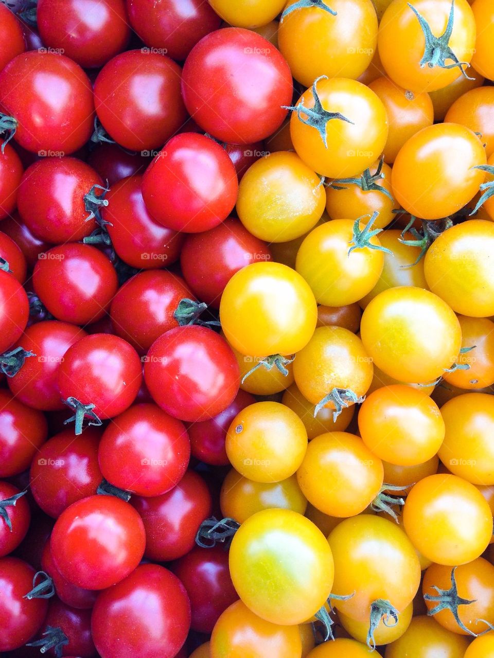 Variations of tomatoes