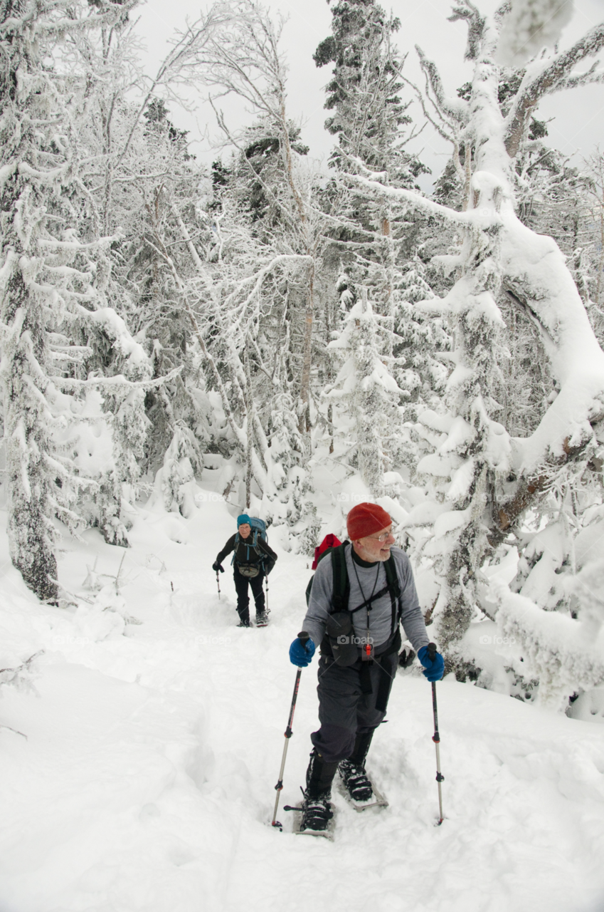 mount hale new hampshire snow winter forest by bobmanley