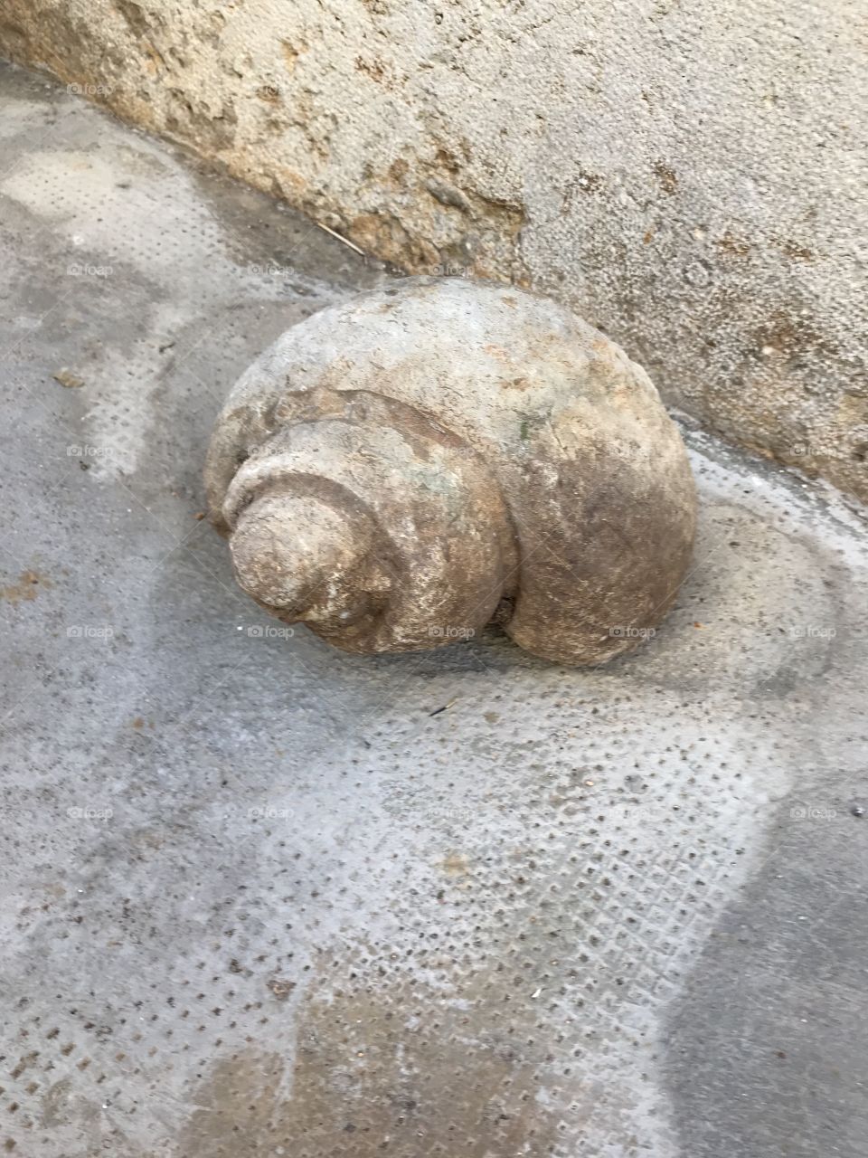 Piedra stone caragol
