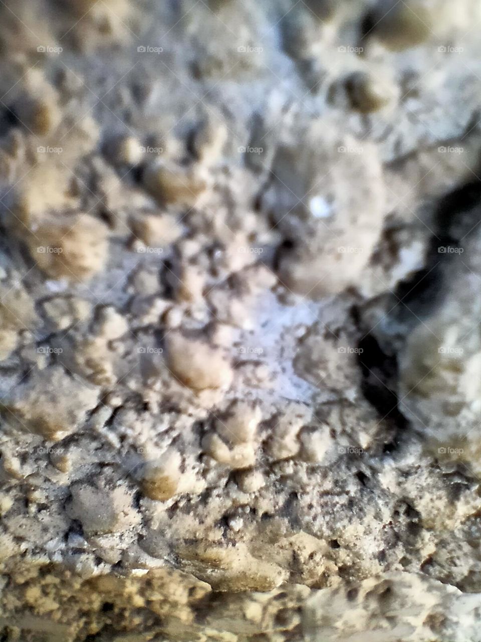 Ingredients from nature