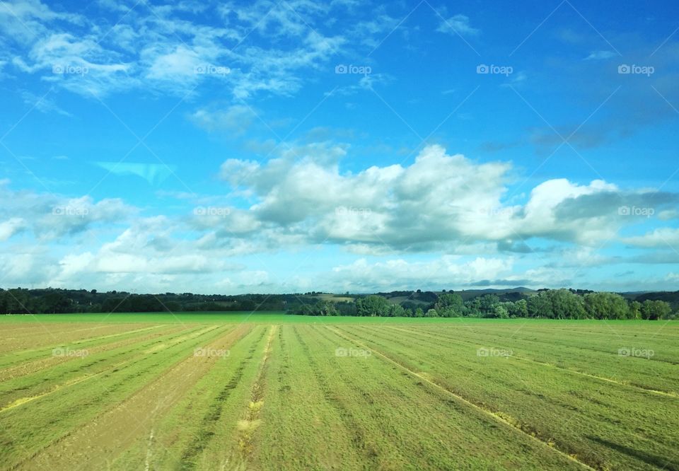 Tuscany fields 