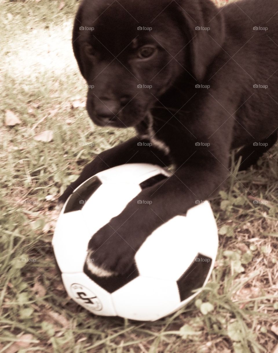 My soccer ball