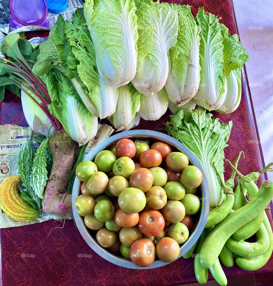 Fresh Organic Vegetables 