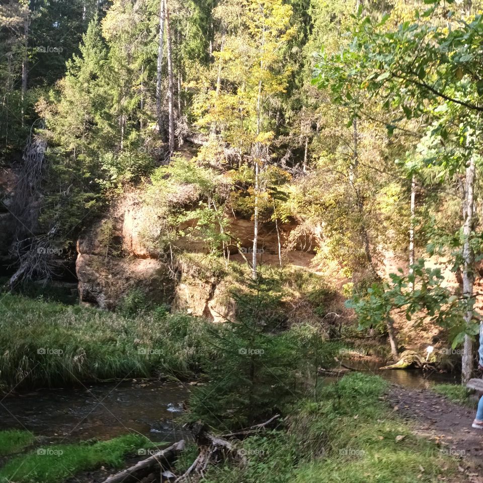 Утёс в лесу. Видземе. Латвия