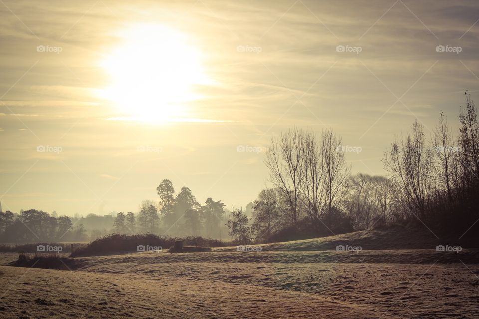 Bleak winter morning