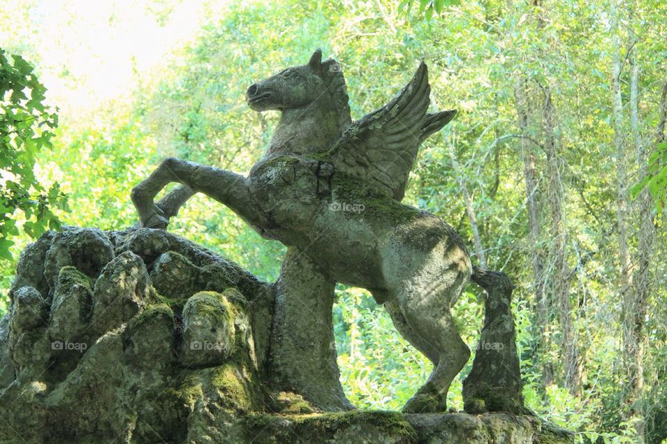Pegasus