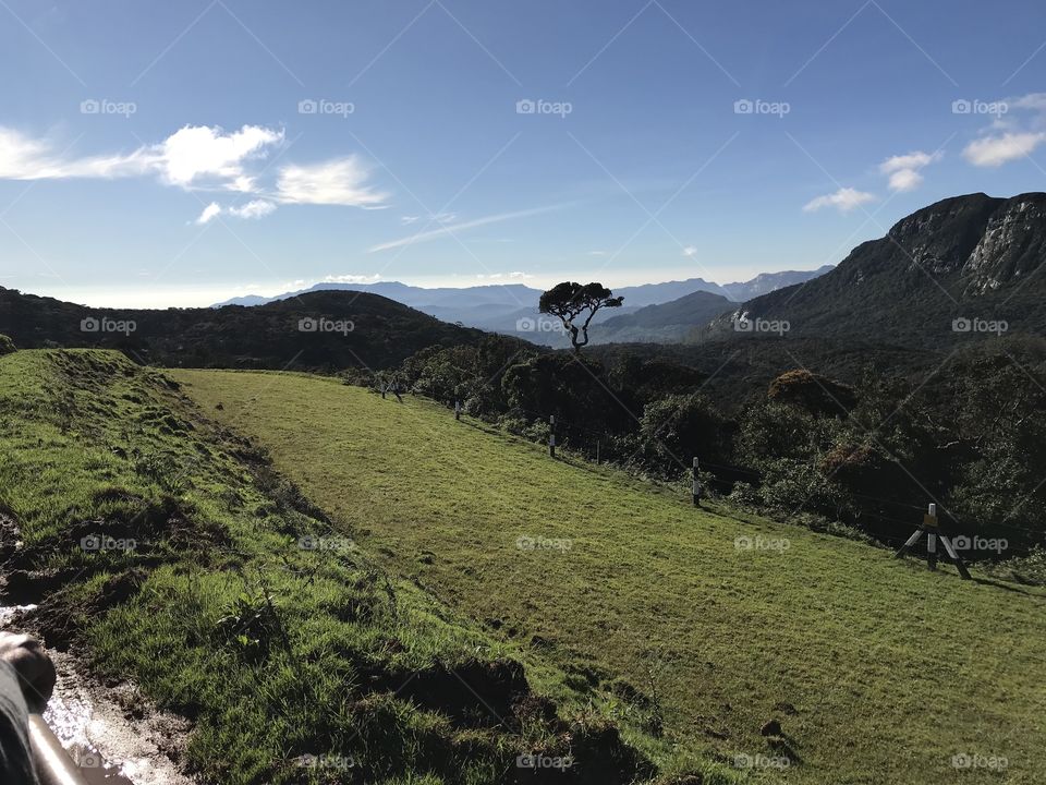 Moonplains - Nuwara Eliya - Sri Lanka.