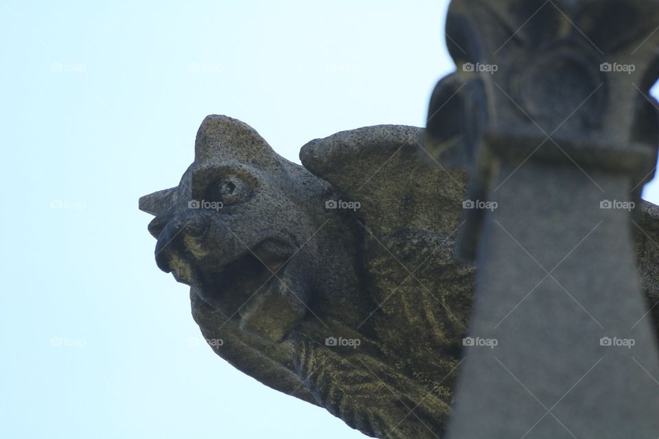 Gargoyles 