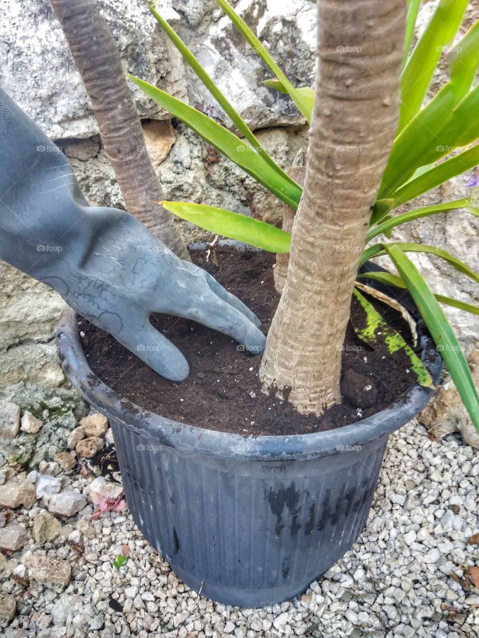 Just like a farmer girl!