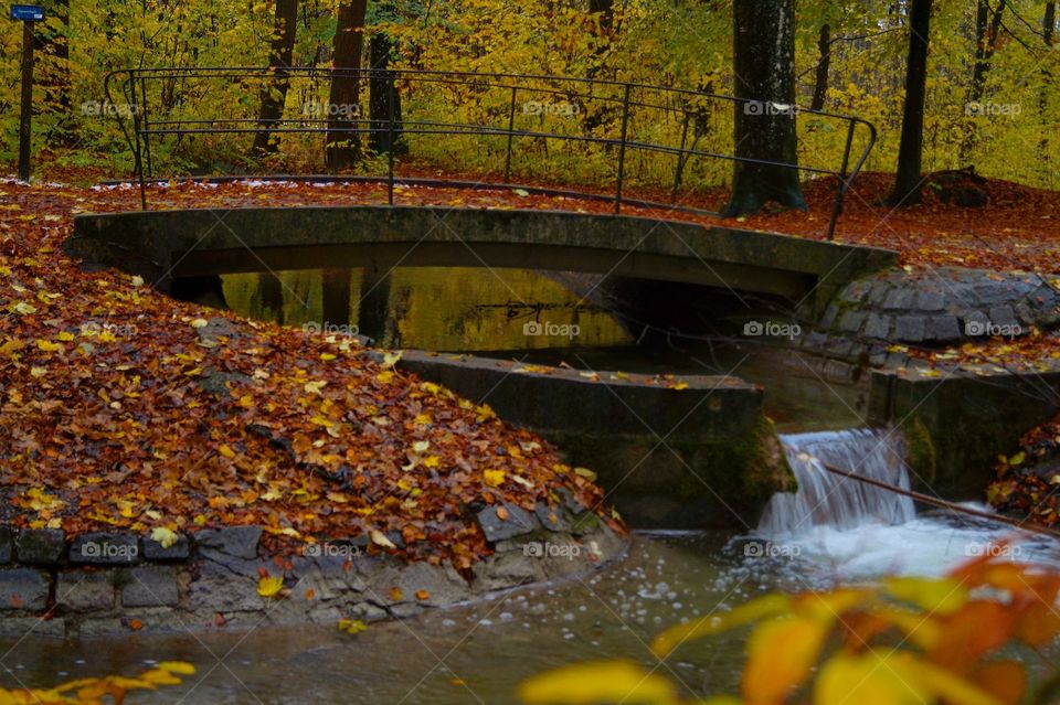 Herbststimmung