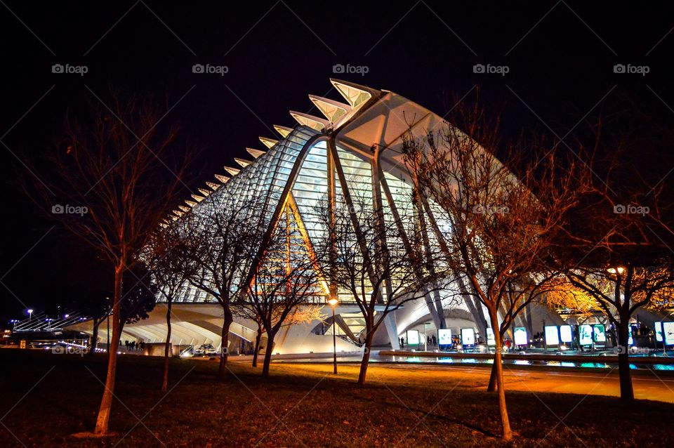 Museo Principe Felipe, Ciudad de las Artes y las Ciencias (Valencia - Spain)