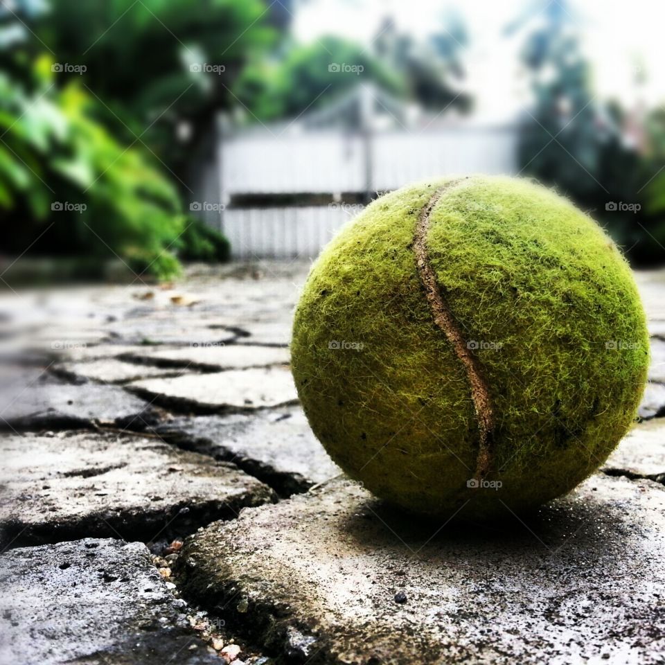 A close up tennis ball