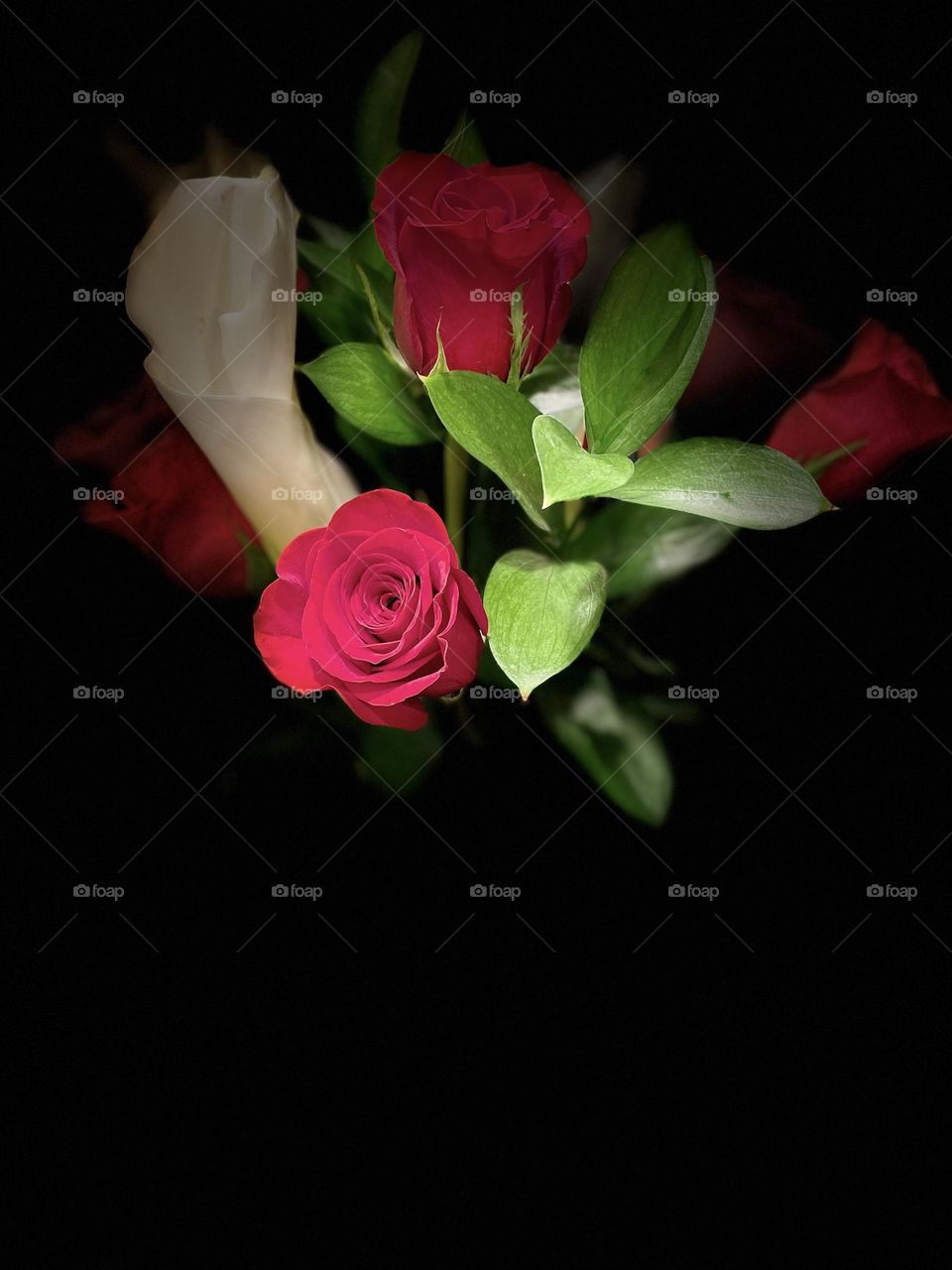 Cala Lilies and red roses. A beautiful bouquet for a Valentine’s Day sweetheart.