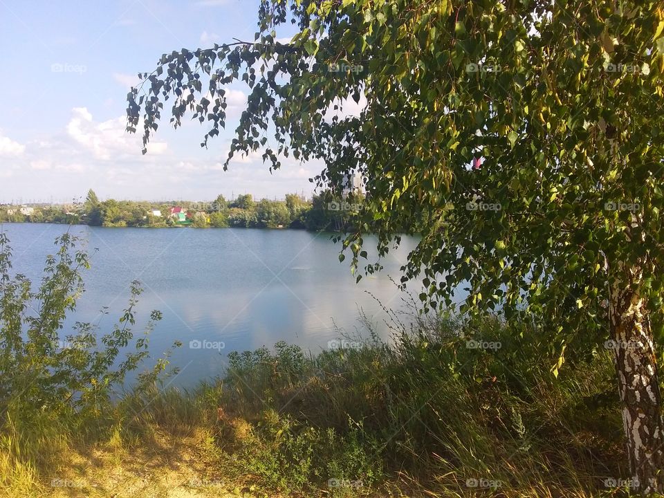 Nature. Lake.