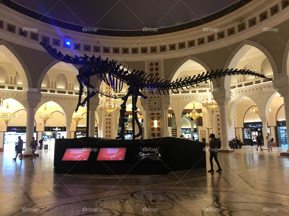 A curious traveler gazes at a fossilized exhibit inside the mall in Dubai. Curiosity strikes as she learns it’s story. 