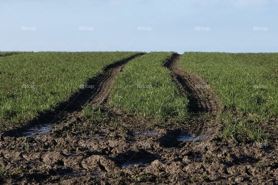 Farm Tracks in Jersey