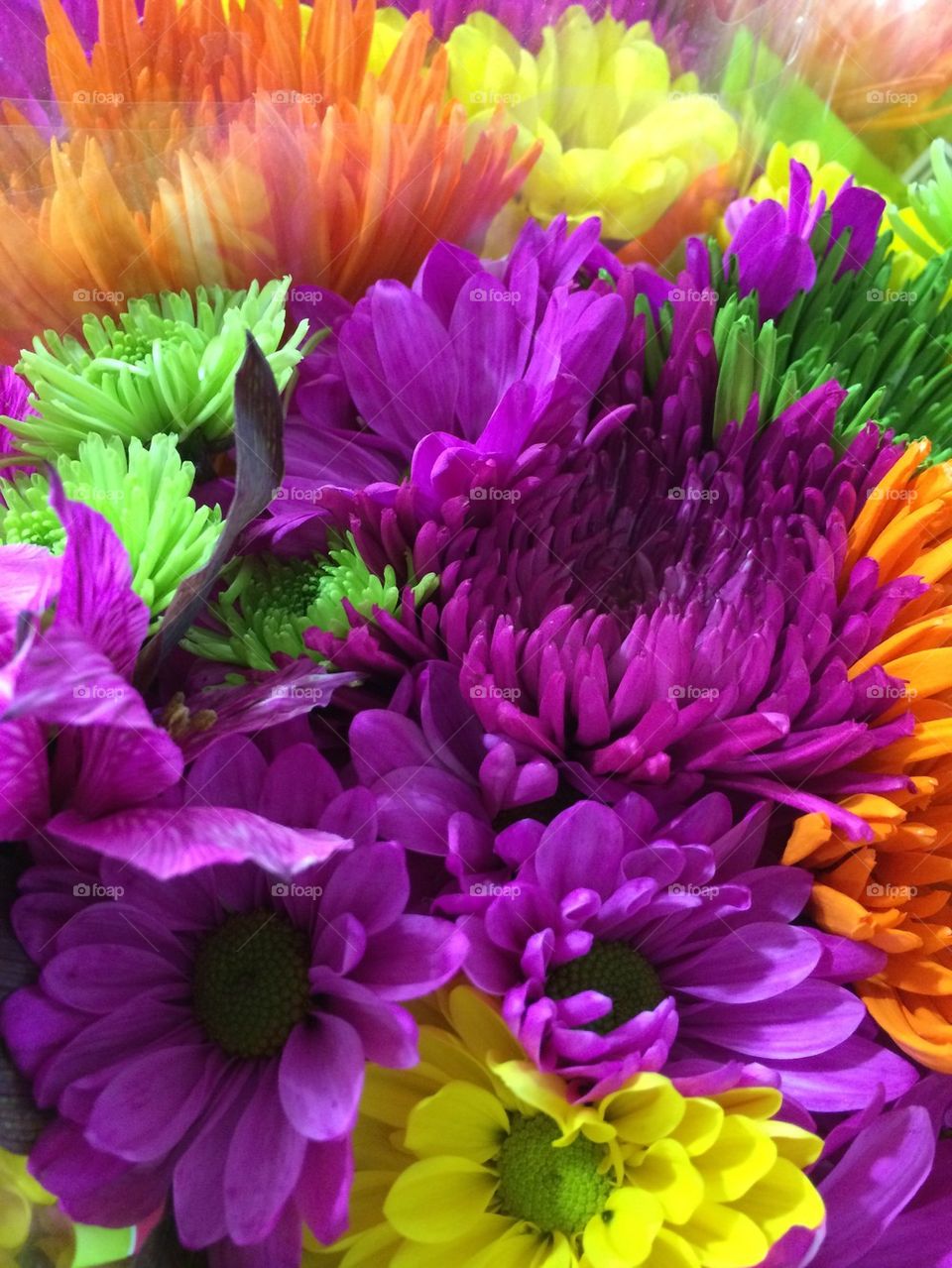 Colorful flowers