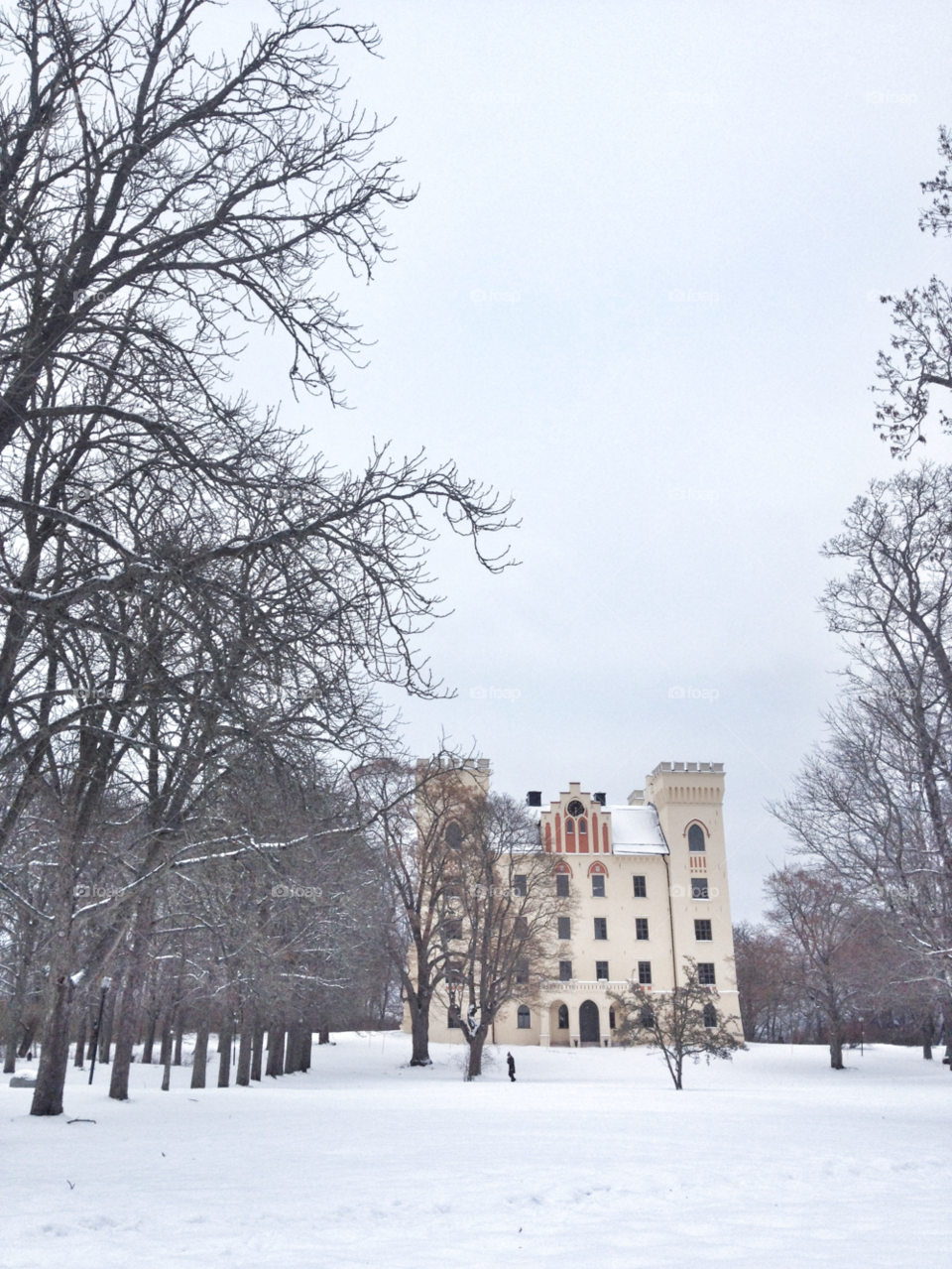snow winter sweden tree by piaktw