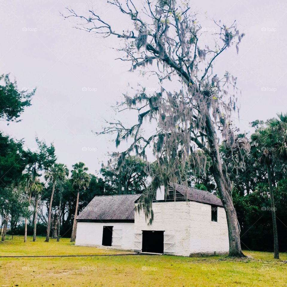 Kingsley’s plantation 