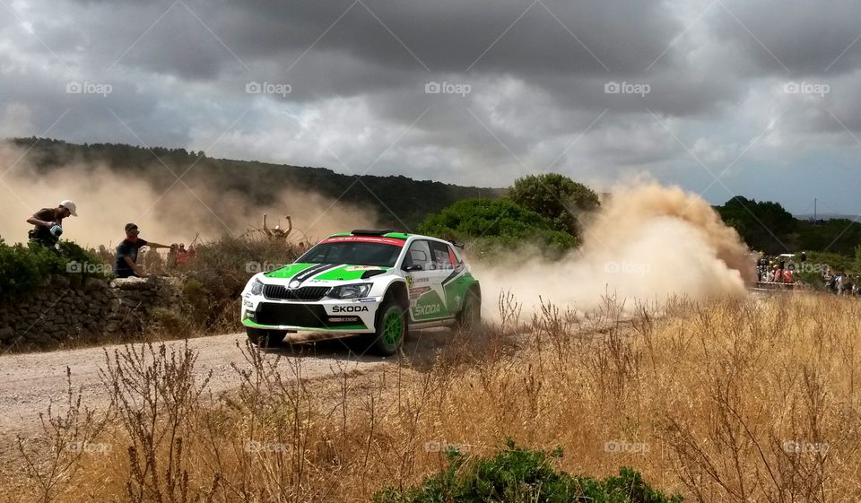 WRC Italia Sardinia 2015 Skoda