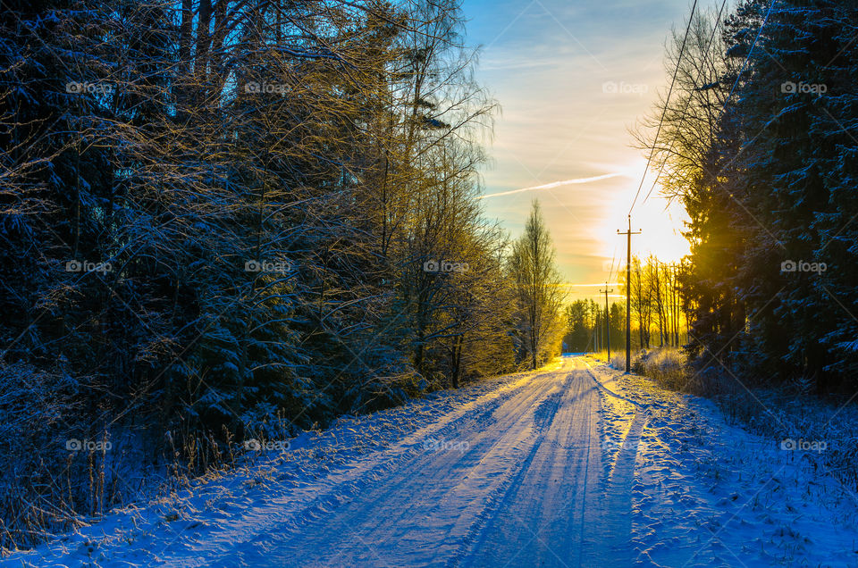 Telephone  poles disappear into the sunset on a snowy forest road