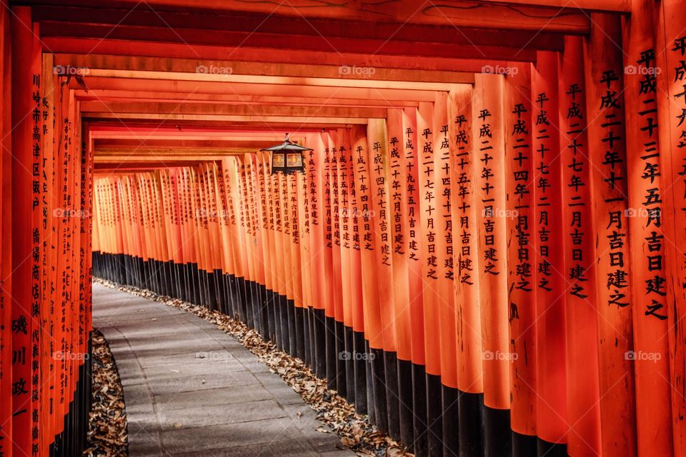 Fushimi Inari Taisha Shrine, Kyoto