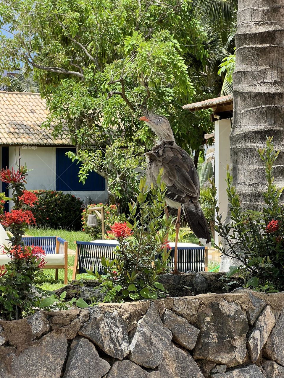 Orange flowers and orange beak bird . 