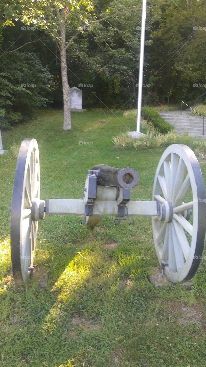 real cannon