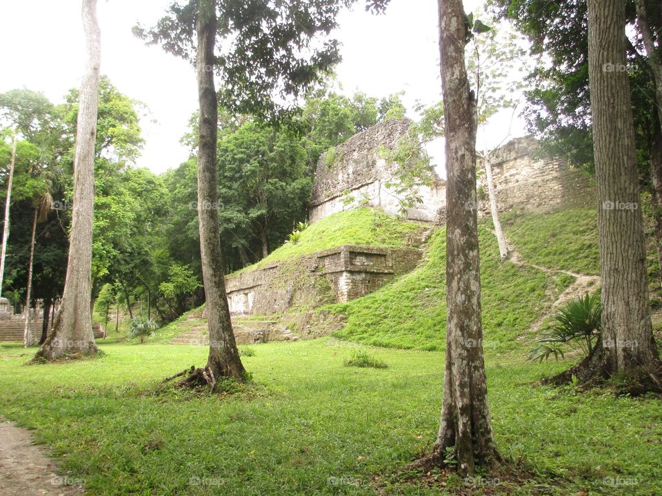 Summer in Tikal 