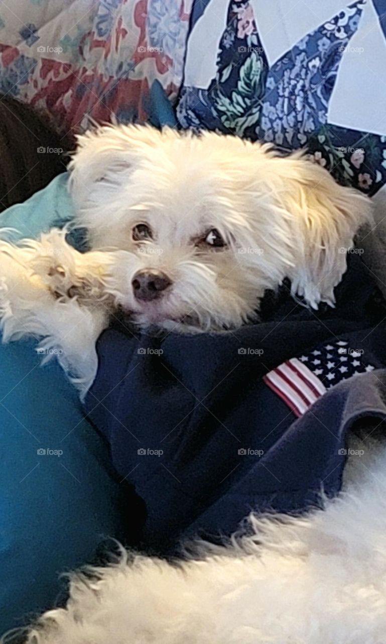 I woke up the dog so I am getting the look!