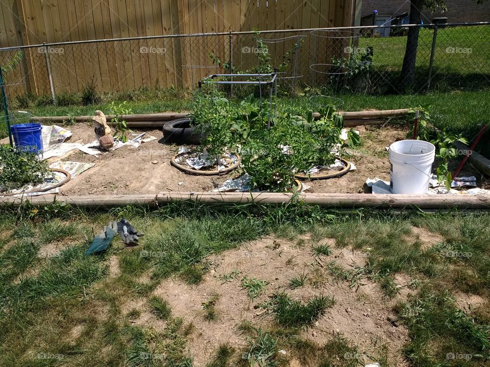 a garden full of recycled material among the plants