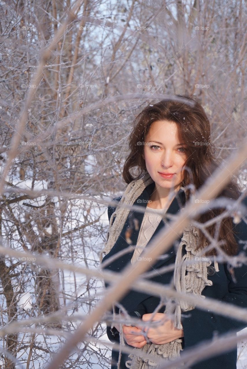 Winter, Cold, Snow, Frost, Tree