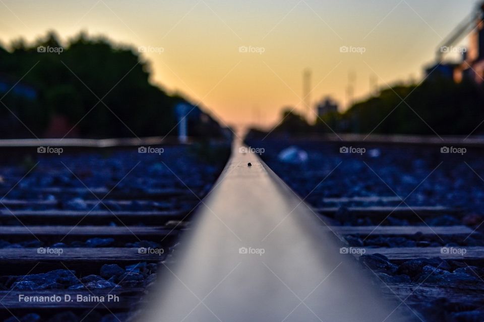 Por la vía correcta 