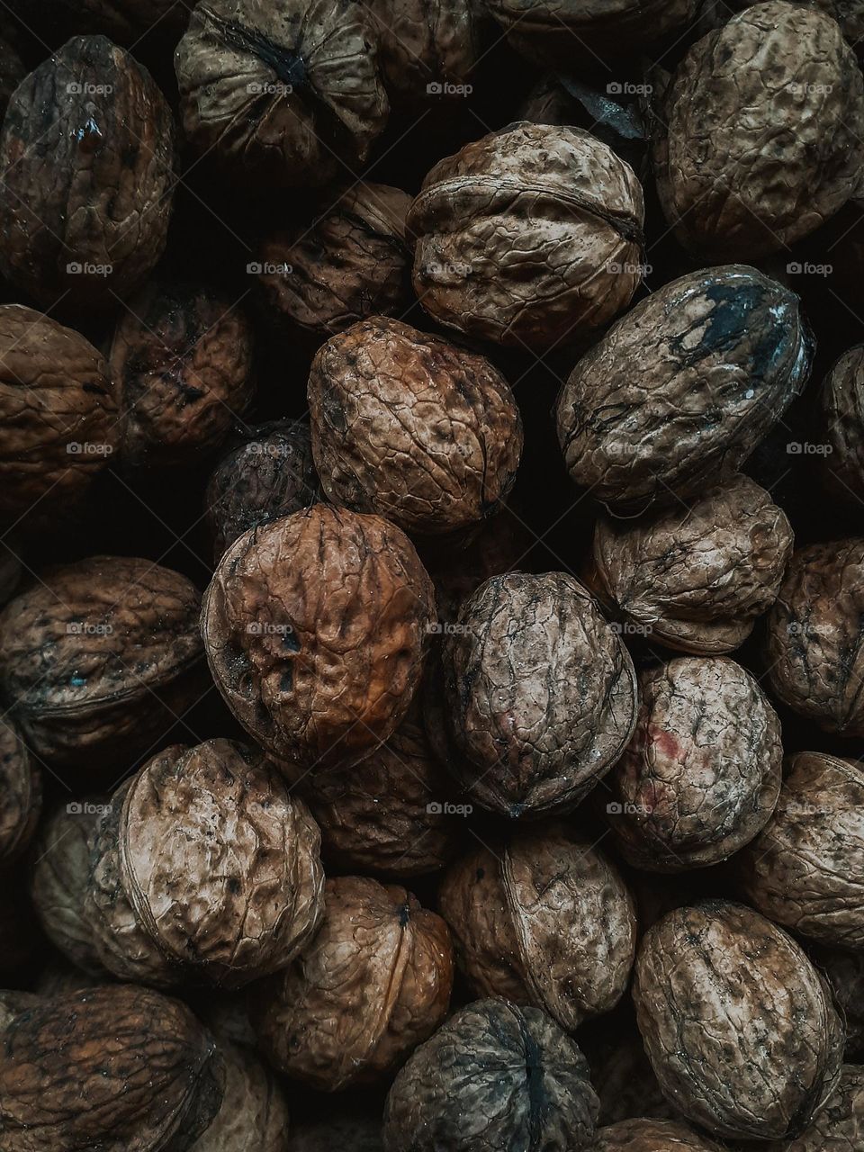 Walnuts from a Ukrainian garden