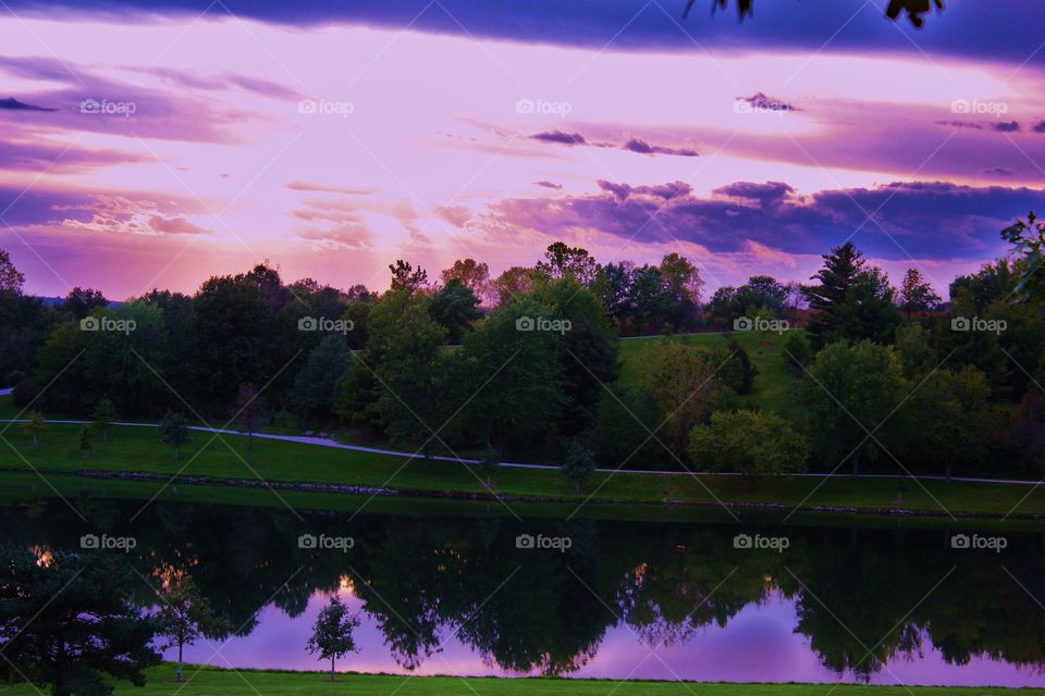 Reflection of trees in lake during sunset