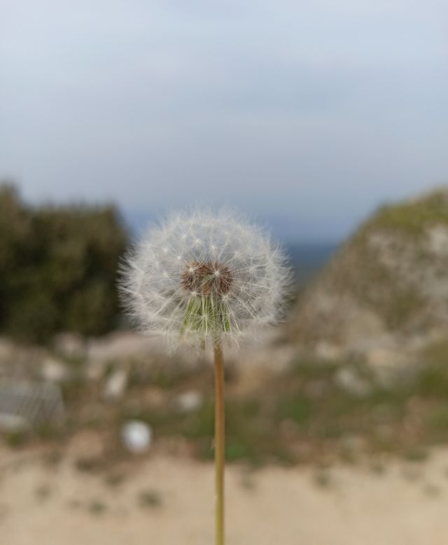 nature