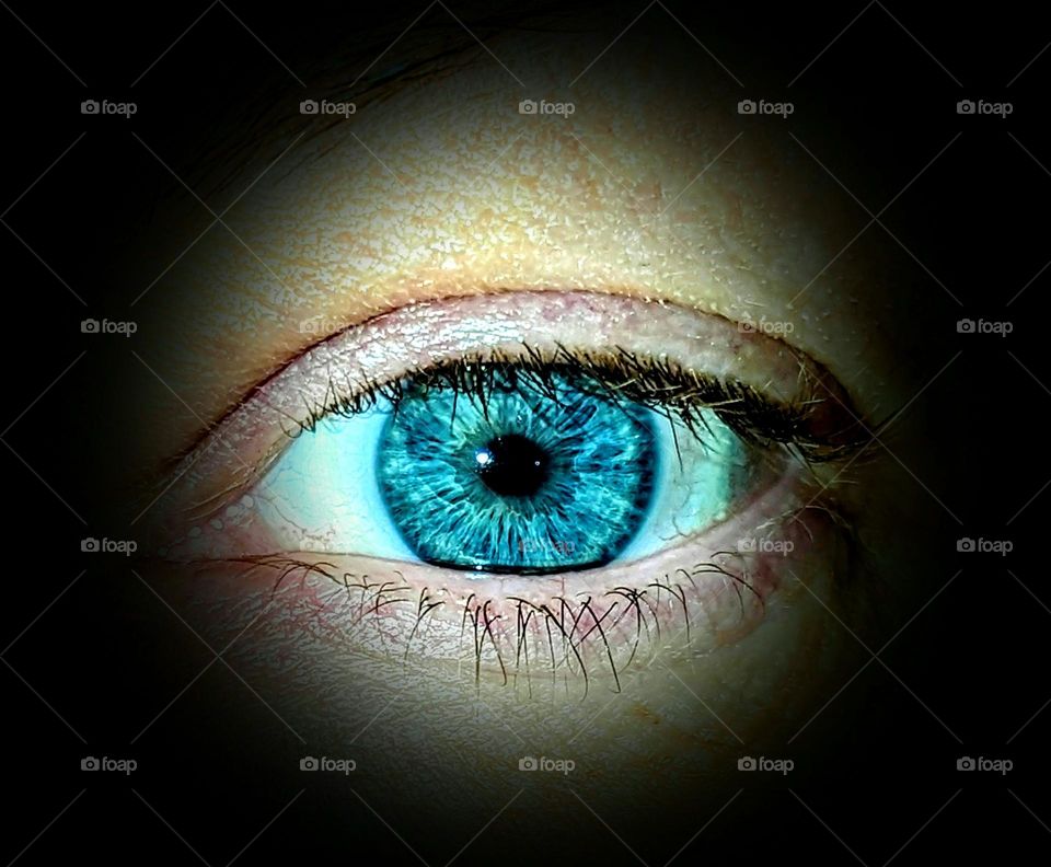 Up close of one of my blue eyes.