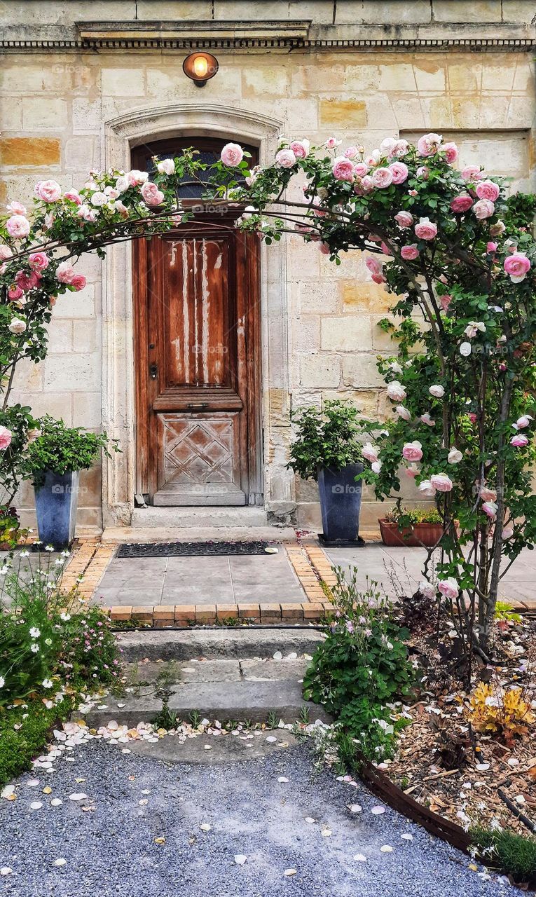 Entrance arc of climbing roses