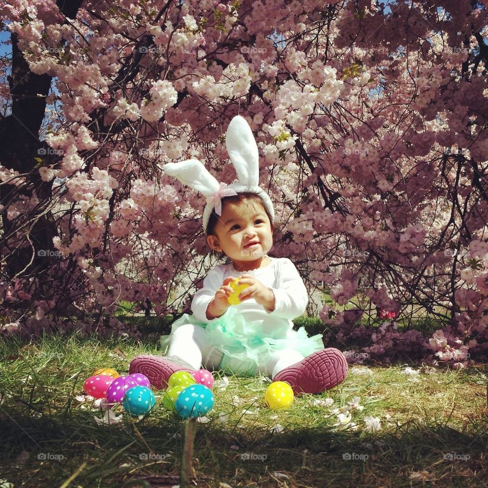 Easter Baby Bunny