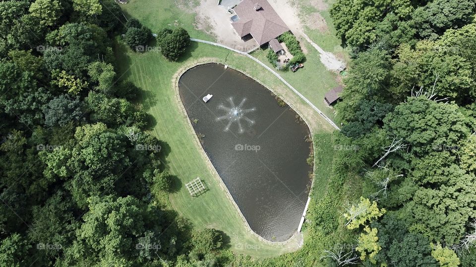 Pond on the farm