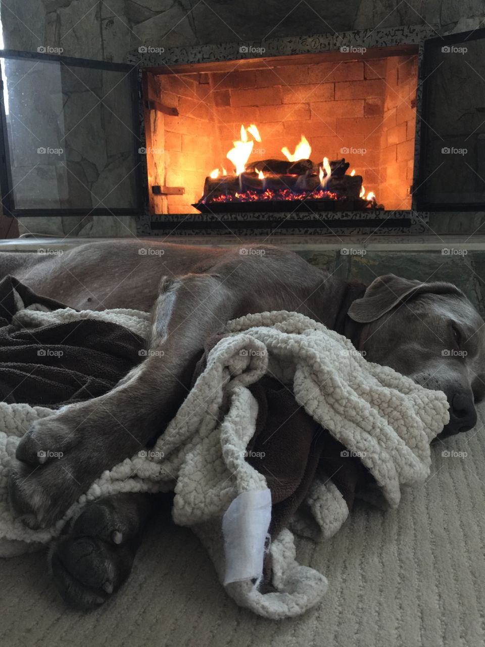 Benson - cozy fireplace 