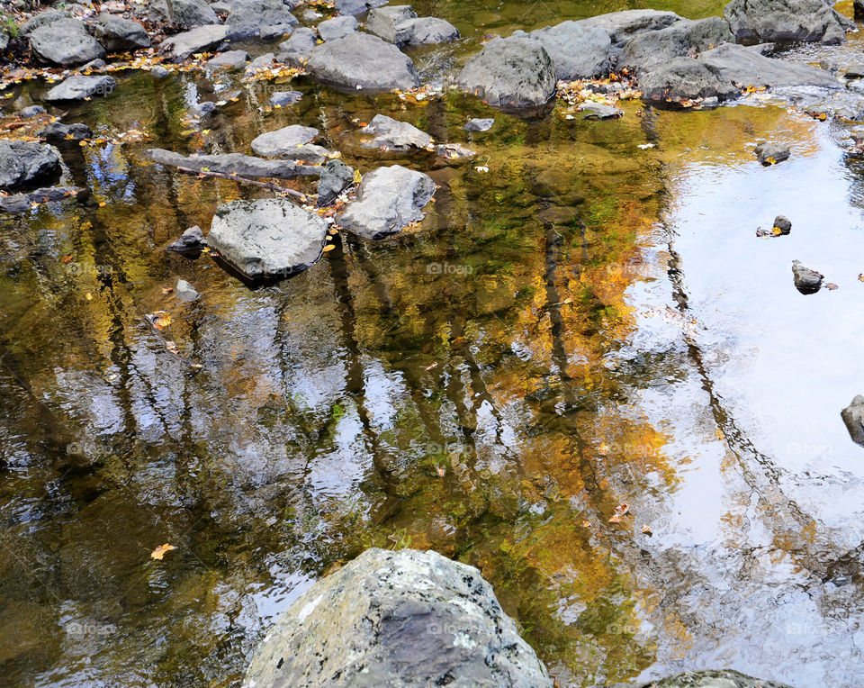 Autumn Reflections. Catoctin state park reflection in stream