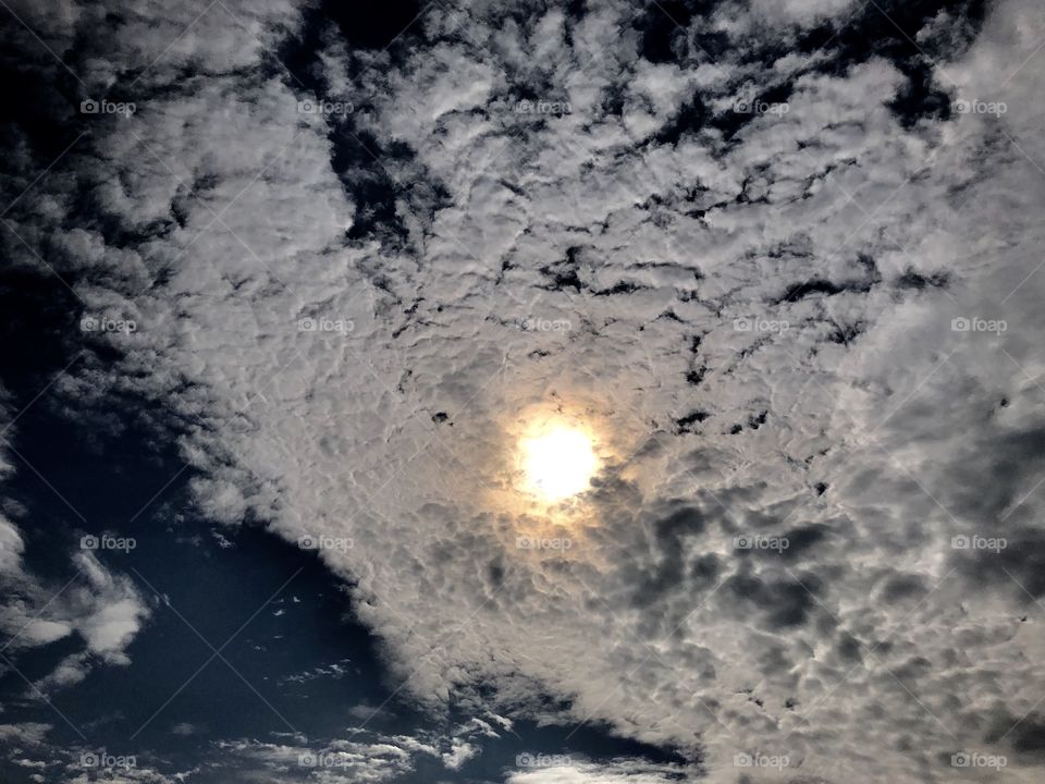 early mrng clicks ☀️