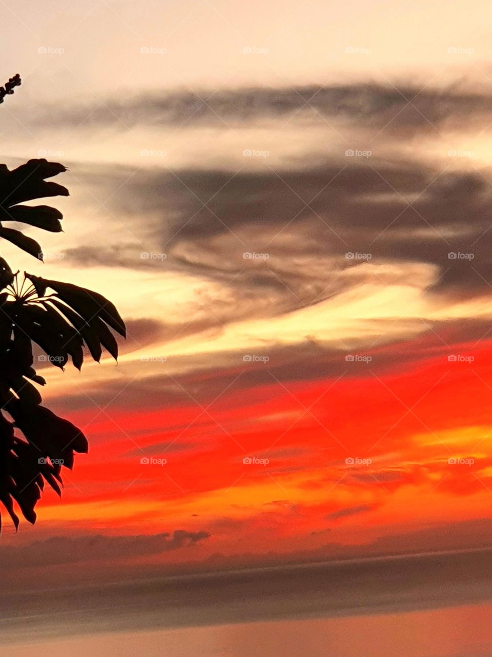 clouds and sunset , colourful