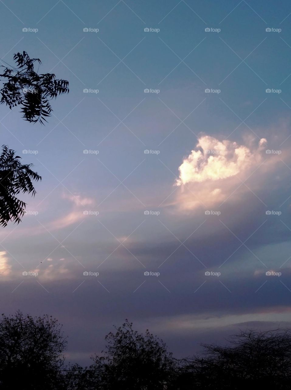 a very hot and shiny day, blue sky whitish cloud scattered dark tree looks very beautiful
