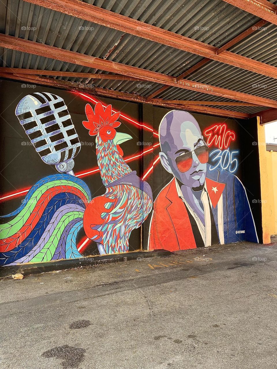 Pitbull graffiti 🎤