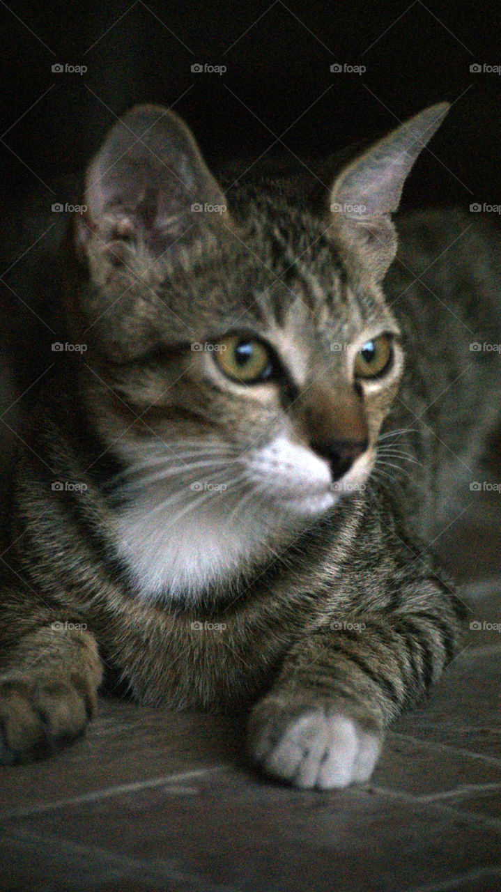 I see something interesting.